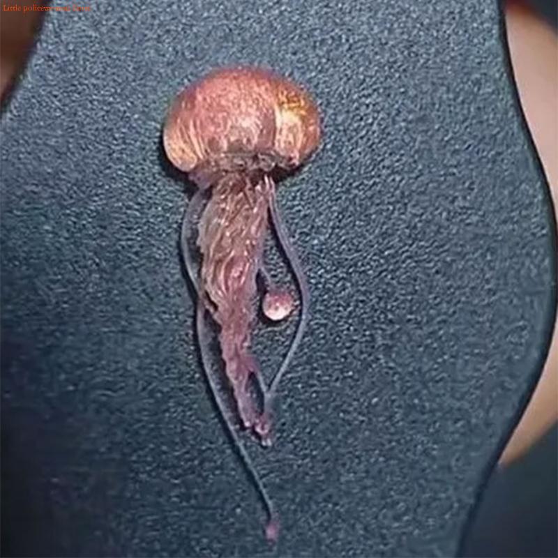 F92D Kreatywne Jellyfish Formy – Art Craft Jellyfish recenzja i cena